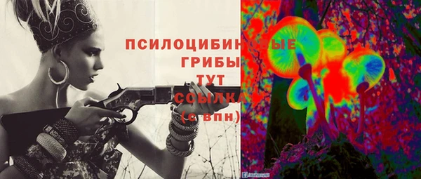 МДПВ Ладушкин