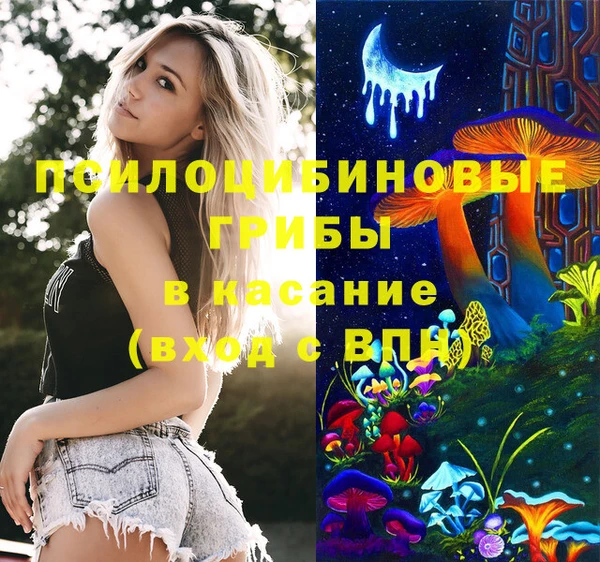 МДПВ Ладушкин